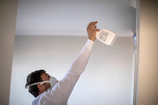 Best Office Mold Removal Services  in Yorketown, NJ