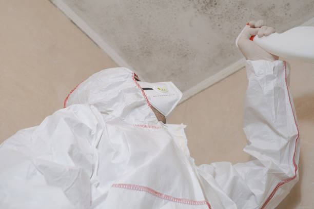 Best Local Mold Removal Service  in Yorketown, NJ