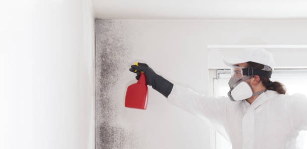 Best Residential Mold Removal  in Yorketown, NJ