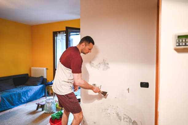 Best Mold Removal Company Near Me  in Yorketown, NJ